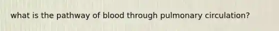 what is the pathway of blood through pulmonary circulation?