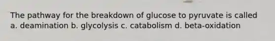 The pathway for the breakdown of glucose to pyruvate is called a. deamination b. glycolysis c. catabolism d. beta-oxidation