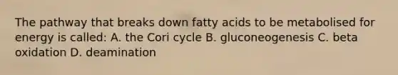 The pathway that breaks down fatty acids to be metabolised for energy is called: A. the Cori cycle B. gluconeogenesis C. beta oxidation D. deamination