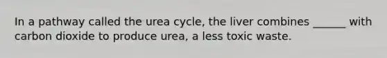 In a pathway called the urea cycle, the liver combines ______ with carbon dioxide to produce urea, a less toxic waste.