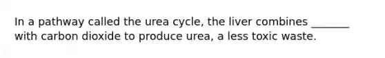 In a pathway called the urea cycle, the liver combines _______ with carbon dioxide to produce urea, a less toxic waste.