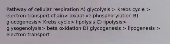 Pathway of cellular respiration A) glycolysis > Krebs cycle > electron transport chain> oxidative phosphorylation B) glucogenesis> Krebs cycle> lipolysis C) lipolysis> glysogenolysis> beta oxidation D) glycogenesis > lipogenesis > electron transport