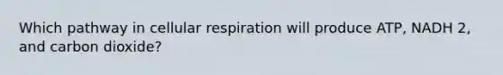 Which pathway in cellular respiration will produce ATP, NADH 2, and carbon dioxide?