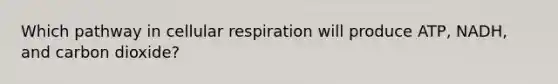 Which pathway in cellular respiration will produce ATP, NADH, and carbon dioxide?