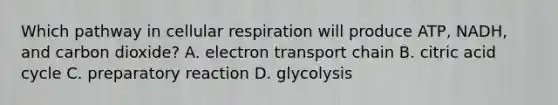 Which pathway in <a href='https://www.questionai.com/knowledge/k1IqNYBAJw-cellular-respiration' class='anchor-knowledge'>cellular respiration</a> will produce ATP, NADH, and carbon dioxide? A. electron transport chain B. citric acid cycle C. preparatory reaction D. glycolysis