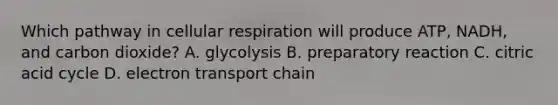 Which pathway in <a href='https://www.questionai.com/knowledge/k1IqNYBAJw-cellular-respiration' class='anchor-knowledge'>cellular respiration</a> will produce ATP, NADH, and carbon dioxide? A. glycolysis B. preparatory reaction C. citric acid cycle D. electron transport chain