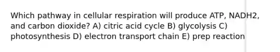 Which pathway in cellular respiration will produce ATP, NADH2, and carbon dioxide? A) citric acid cycle B) glycolysis C) photosynthesis D) electron transport chain E) prep reaction