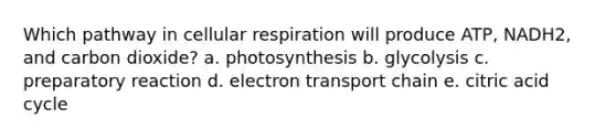 Which pathway in cellular respiration will produce ATP, NADH2, and carbon dioxide? a. photosynthesis b. glycolysis c. preparatory reaction d. electron transport chain e. citric acid cycle