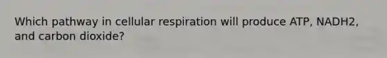 Which pathway in cellular respiration will produce ATP, NADH2, and carbon dioxide?