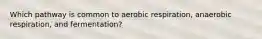 Which pathway is common to aerobic respiration, anaerobic respiration, and fermentation?