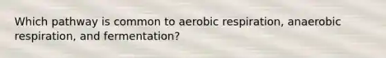 Which pathway is common to aerobic respiration, anaerobic respiration, and fermentation?