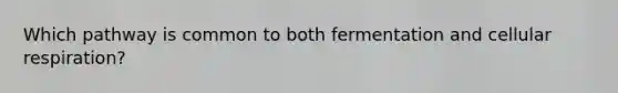 Which pathway is common to both fermentation and cellular respiration?