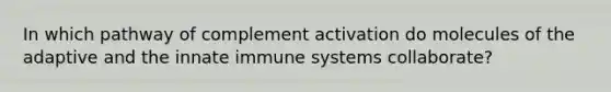 In which pathway of complement activation do molecules of the adaptive and the innate immune systems collaborate?