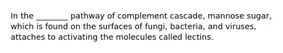 In the ________ pathway of complement cascade, mannose sugar, which is found on the surfaces of fungi, bacteria, and viruses, attaches to activating the molecules called lectins.