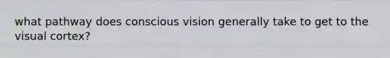 what pathway does conscious vision generally take to get to the visual cortex?