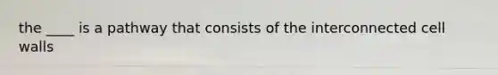 the ____ is a pathway that consists of the interconnected cell walls