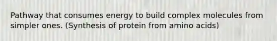 Pathway that consumes energy to build complex molecules from simpler ones. (Synthesis of protein from amino acids)