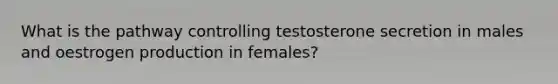 What is the pathway controlling testosterone secretion in males and oestrogen production in females?