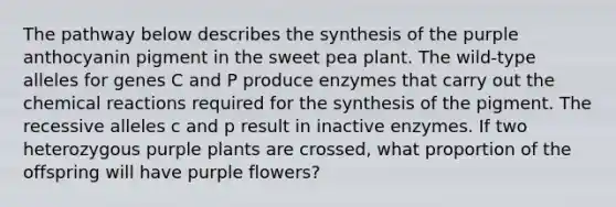 The pathway below describes the synthesis of the purple anthocyanin pigment in the sweet pea plant. The wild-type alleles for genes C and P produce enzymes that carry out the chemical reactions required for the synthesis of the pigment. The recessive alleles c and p result in inactive enzymes. If two heterozygous purple plants are crossed, what proportion of the offspring will have purple flowers?