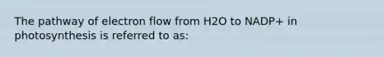 The pathway of electron flow from H2O to NADP+ in photosynthesis is referred to as: