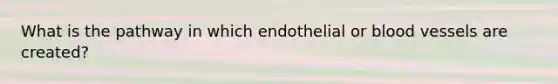 What is the pathway in which endothelial or blood vessels are created?