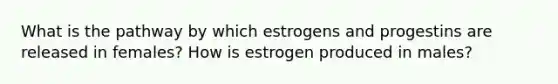 What is the pathway by which estrogens and progestins are released in females? How is estrogen produced in males?