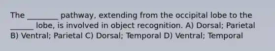 The ________ pathway, extending from the occipital lobe to the ______ lobe, is involved in object recognition. A) Dorsal; Parietal B) Ventral; Parietal C) Dorsal; Temporal D) Ventral; Temporal