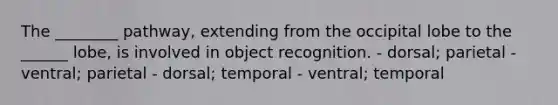 The ________ pathway, extending from the occipital lobe to the ______ lobe, is involved in object recognition. - dorsal; parietal - ventral; parietal - dorsal; temporal - ventral; temporal