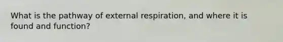 What is the pathway of external respiration, and where it is found and function?