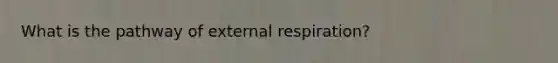 What is the pathway of external respiration?