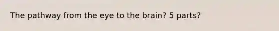 The pathway from the eye to the brain? 5 parts?