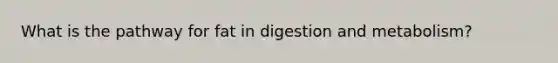 What is the pathway for fat in digestion and metabolism?