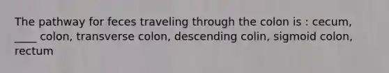 The pathway for feces traveling through the colon is : cecum, ____ colon, transverse colon, descending colin, sigmoid colon, rectum