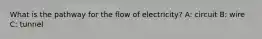 What is the pathway for the flow of electricity? A: circuit B: wire C: tunnel