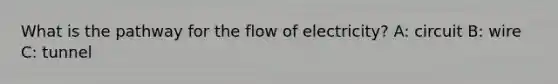 What is the pathway for the flow of electricity? A: circuit B: wire C: tunnel