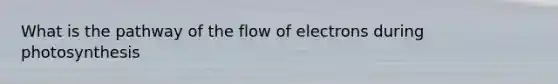 What is the pathway of the flow of electrons during photosynthesis