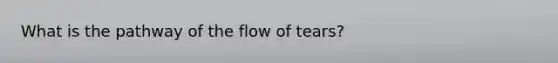 What is the pathway of the flow of tears?