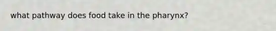 what pathway does food take in the pharynx?