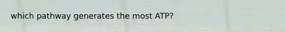 which pathway generates the most ATP?