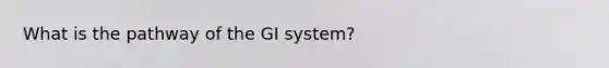 What is the pathway of the GI system?