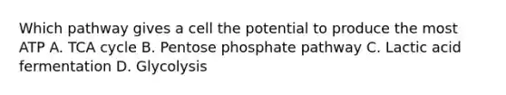 Which pathway gives a cell the potential to produce the most ATP A. TCA cycle B. Pentose phosphate pathway C. Lactic acid fermentation D. Glycolysis