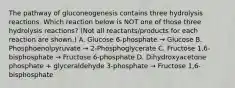 The pathway of gluconeogenesis contains three hydrolysis reactions. Which reaction below is NOT one of those three hydrolysis reactions? (Not all reactants/products for each reaction are shown.) A. Glucose 6-phosphate → Glucose B. Phosphoenolpyruvate → 2-Phosphoglycerate C. Fructose 1,6-bisphosphate → Fructose 6-phosphate D. Dihydroxyacetone phosphate + glyceraldehyde 3-phosphate → Fructose 1,6-bisphosphate