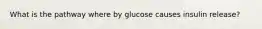 What is the pathway where by glucose causes insulin release?