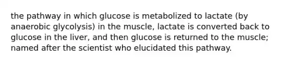 the pathway in which glucose is metabolized to lactate (by anaerobic glycolysis) in the muscle, lactate is converted back to glucose in the liver, and then glucose is returned to the muscle; named after the scientist who elucidated this pathway.