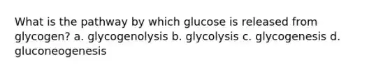 What is the pathway by which glucose is released from glycogen? a. glycogenolysis b. glycolysis c. glycogenesis d. gluconeogenesis