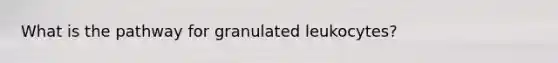 What is the pathway for granulated leukocytes?