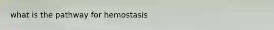 what is the pathway for hemostasis