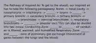 The Pathway of Inspired Air To get to the alveoli, our inspired air has to take the following passageway: Nares -> nasal cavity -> nasopharynx -> oropharynx -> ______ -> larynx ->_______ -> primary bronchi -> secondary bronchi -> tertiary bronchi -> _________ -> bronchioles -> terminal bronchioles -> respiratory bronchioles -> ________ -> alveolar sacs This can also be divided into two zones: Conducting Zone: ______ to ________ - air conduit - air is filtered, warmed, and humidified Respiratory Zone: ______ and ______ - zone of pulmonary gas exchange (movement of gases between the lungs and the blood)