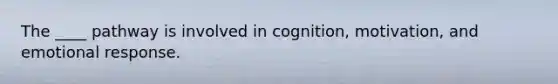 The ____ pathway is involved in cognition, motivation, and emotional response.