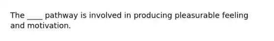 The ____ pathway is involved in producing pleasurable feeling and motivation.